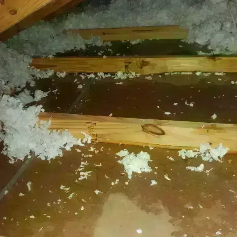 Attic Water Damage in Mount Morris, IL