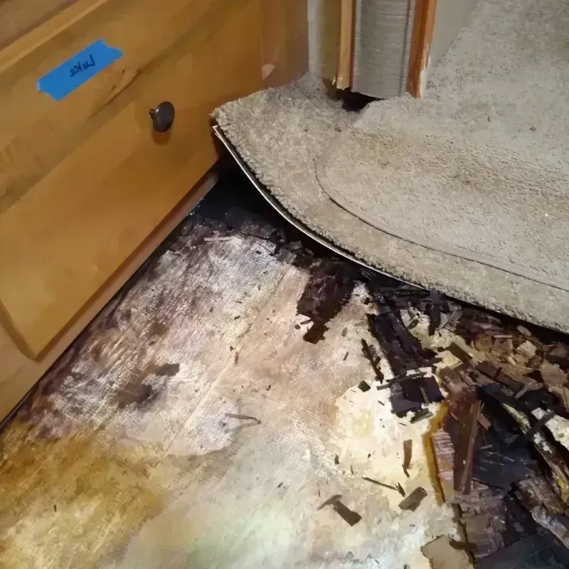 Wood Floor Water Damage in Mount Morris, IL